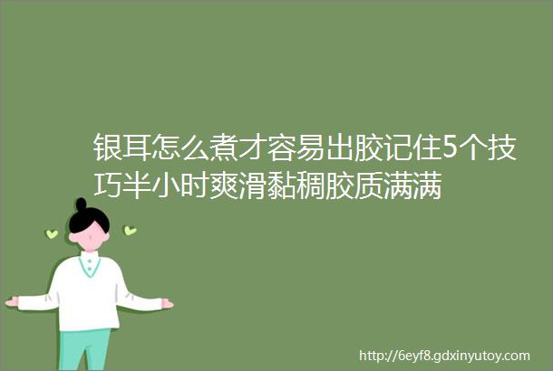 银耳怎么煮才容易出胶记住5个技巧半小时爽滑黏稠胶质满满