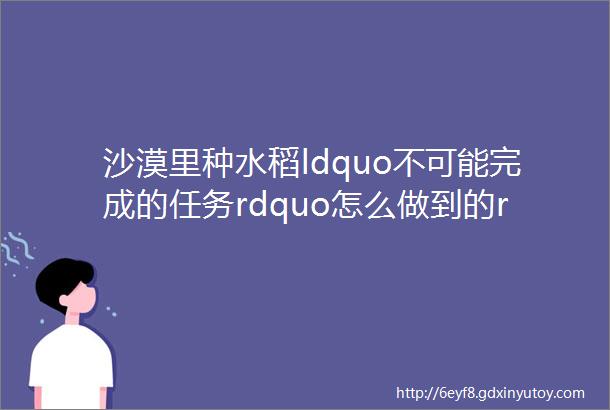 沙漠里种水稻ldquo不可能完成的任务rdquo怎么做到的rarr